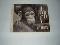 altes Buch von 1958 * ABC mit Tieren * tolle Fotos * Geschenk Bayern - Nordendorf Vorschau