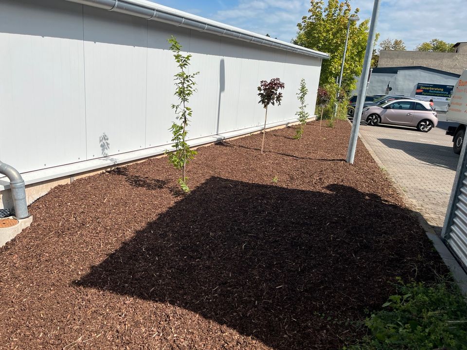 Pflasterarbeiten Natursteinmauer Gartenpflege Bepflanzung in Oerlenbach