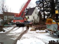 Spezial Fällung, Baumpflege, Wurzelstockfräsen Bayern - Oettingen in Bayern Vorschau