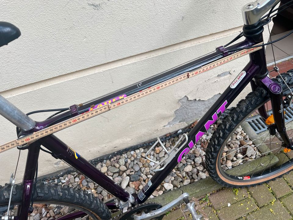 GIANT Cadex Carbon Vintage Mountainbike Gravelbike Shimano STX in Berlin