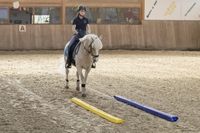 Bodenarbeitsstange Soft -  9,5x9,5x300cm Baden-Württemberg - Gunningen Vorschau