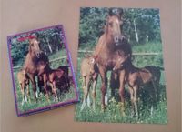 Puzzle King 500 Teile spring scene Pferd mit Fohlen Nordrhein-Westfalen - Lindlar Vorschau