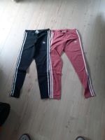 Adidas Leggings Niedersachsen - Emden Vorschau