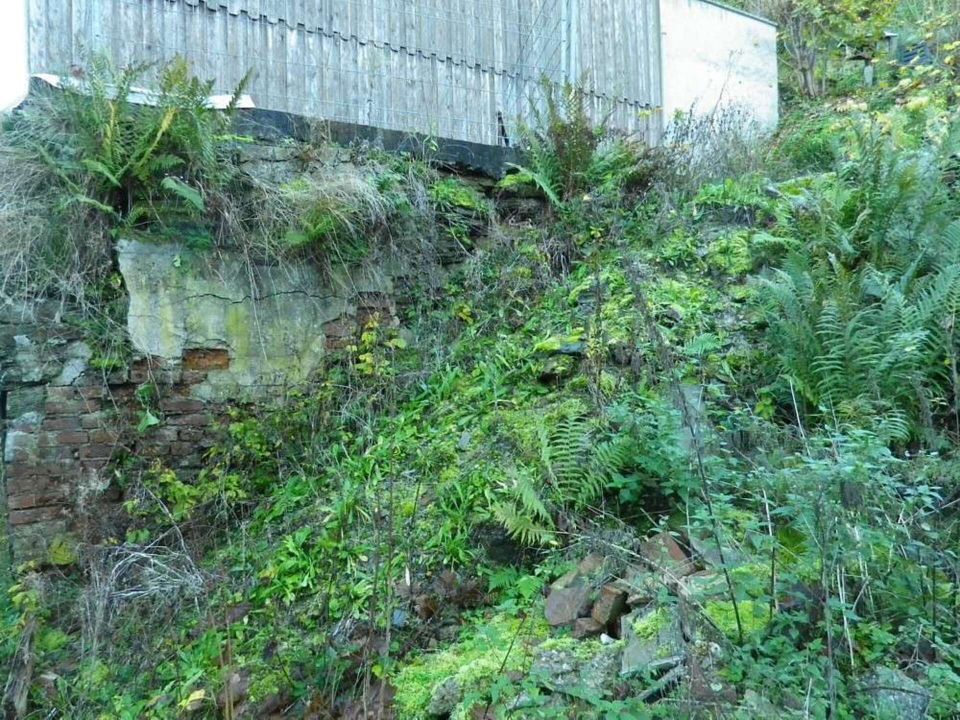 TiNY Haus BAULüCKE am SCHLossBERG in Greiz