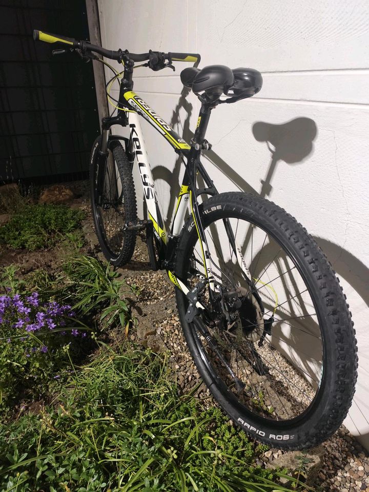 Kellys Spider 50 MTB 27,5 Zoll hardtail/carbon frame in Waltrop