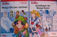 Manga Zeichnen Bücher Baden-Württemberg - Erolzheim Vorschau