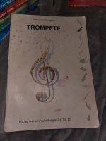 Instrumentallehrgang Trompete D1, D2,D3 Bayern - Allersberg Vorschau