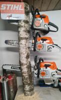 Motorsäge Kettensäge Stihl MS 261 462 "ZU VERMIETEN" Bayern - Aholfing Vorschau