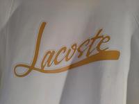 Lacoste Pullover Damen weiss Größe 38 mit 3D Print Hessen - Kassel Vorschau