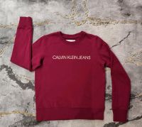 Calvin klein Pullover Sweapullover Hoodie Gr. XS/ 34 Rheinland-Pfalz - Birkenfeld Vorschau