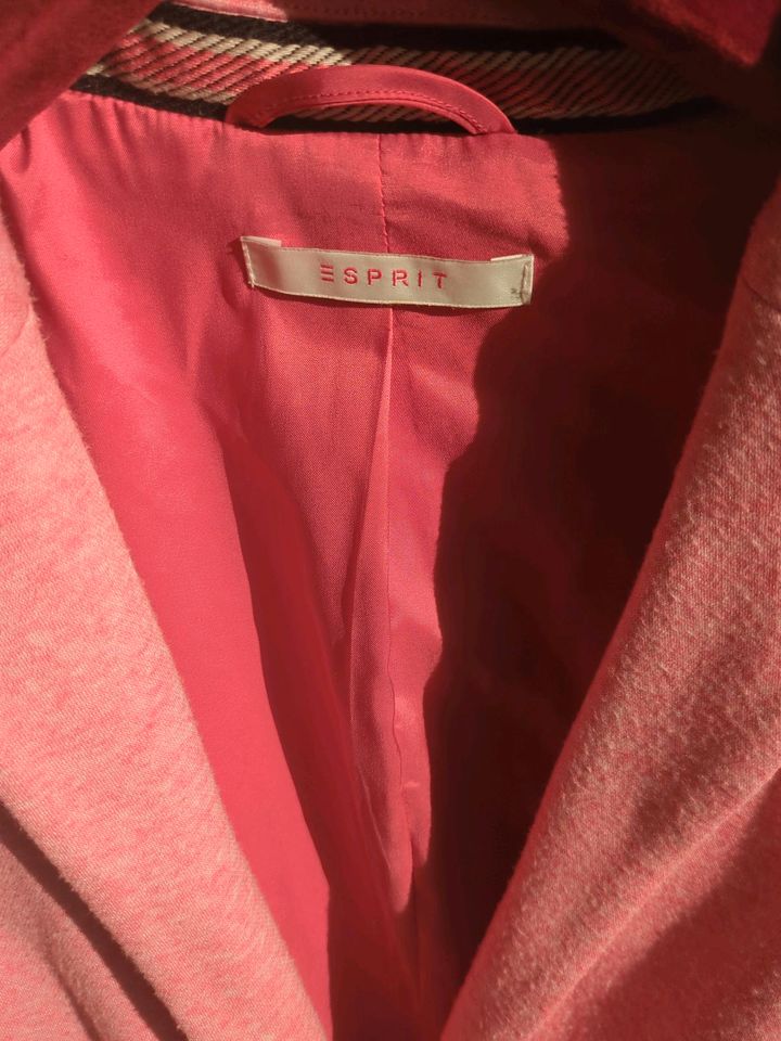 Bequemer Blazer von Esprit in rosa in Wadersloh