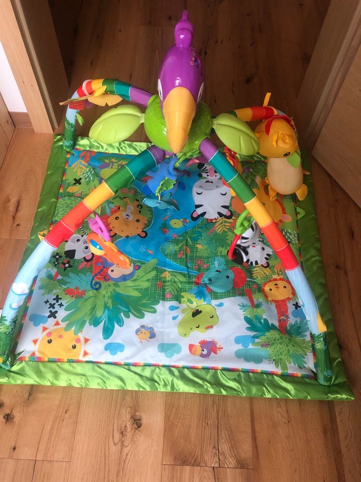 Fisher Price Rainforest Spielbogen Activity Erlebnisdecke in Freystadt