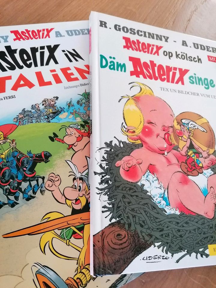 Asterix und Obelix bei den Schweizern; in Italien; singe Jung in Frankfurt am Main