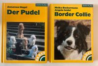 • Bücher Rassehunde - Pudel, Border Collie • Sachsen - Chemnitz Vorschau