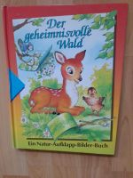 1 Kinderbuch der geheimnisvolle Wald Dortmund - Hörde Vorschau