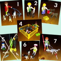 Playmobil Special Plus Sets mit Tieren Bayern - Glattbach Unterfr. Vorschau