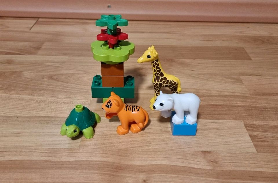 Lego duplo Set  10801 Jungtiere Tiere komplett in Bad Waldsee