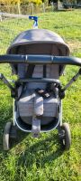 Kinderwagen/ Buggy Hamburg-Nord - Hamburg Dulsberg Vorschau