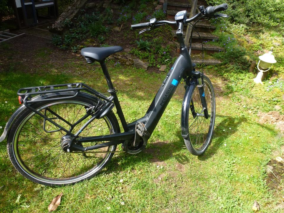 Pegasus Solero EVO 7R Plus E-Citybike mit Rücktrittbremse in Saarwellingen