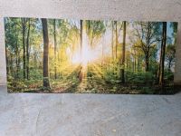 Wandbild Wald, Bild Baden-Württemberg - Freiberg am Neckar Vorschau