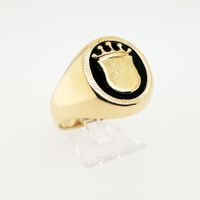 Gold Ring 585/14kt Wappenring Gr.66 Goldring Edel Goldschmuck Kiel - Mitte Vorschau