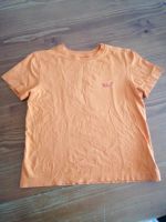 Jack Wolfskin Shirt Gr 146/152 Bayern - Bad Staffelstein Vorschau