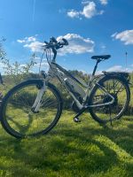 Bulls E-Bike Fahrrad LAVIDA Green mover Hessen - Grebenau Vorschau