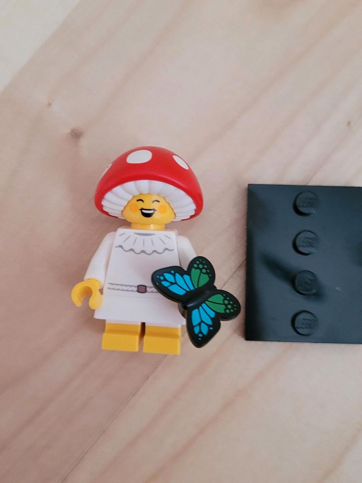 Lego Minifiguren aus Serie 25 in Korbach