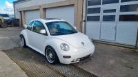 Volkswagen New Beetle Lim. 2.0 Bayern - Walpertskirchen Vorschau