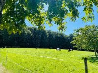 Sommerkoppel / Weideplatz / Sommerweide Bayern - Hausen Vorschau