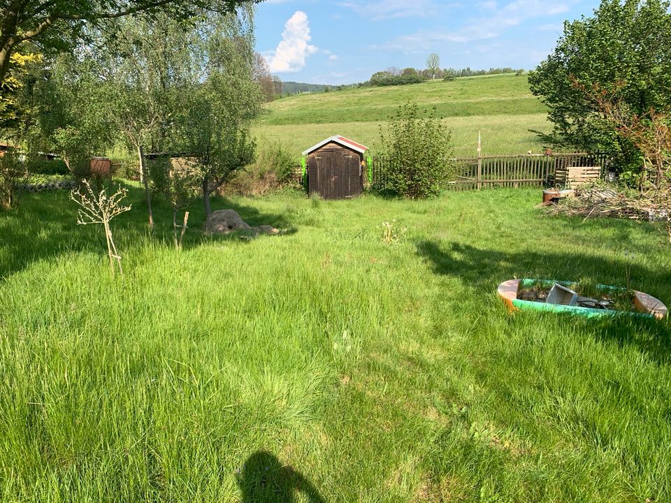 Garten+Geräte komp. abzugeben. in Neustadt