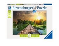 Ravensburger Puzzel 1000 Teile Natur Edition Frankfurt am Main - Nordend Vorschau