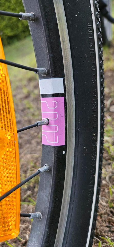 Mädchen Fahrrad 20zoll S'Cool pink violett mit Korb in Berlin
