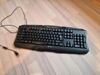 Gaming Tastatur Sharkoon SkillerPro Rheinland-Pfalz - Flonheim Vorschau