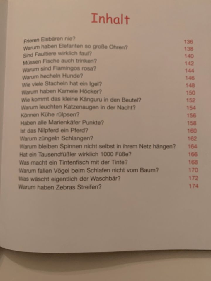 Kinderbuch erstaunliche Antworten auf Kinderfragen neu in Heidelberg