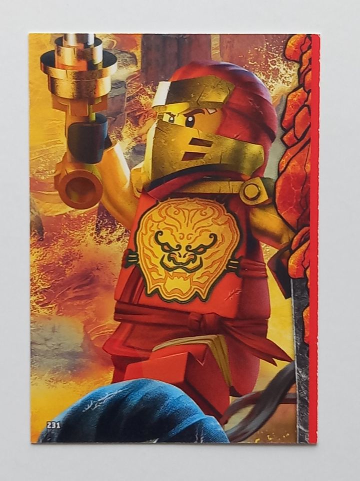 Ninjago Trading Card Game - Sammelkarten - Serie 6 (2021) in Augustusburg