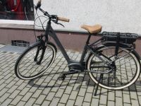 E-Bike 28" BOSCH-Antrieb,7-Gang Rücktritt BBF Brandenburg - Hörlitz Vorschau