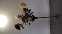 GLAS   Blumenvase  100cm mit 3 Seiden Rosen Essen - Schonnebeck Vorschau