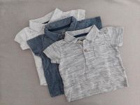 3x Baby Poloshirt Größe 74 Tshirt grau weiß blau Babymode Hannover - Döhren-Wülfel Vorschau