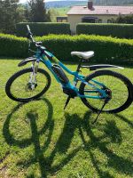 E-Bike zu verkaufen Thüringen - Rudolstadt Vorschau