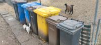 Mülltonnen gebraucht Thüringen - Sömmerda Vorschau