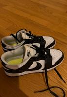 Nike Dunks in 41 Lindenthal - Köln Sülz Vorschau