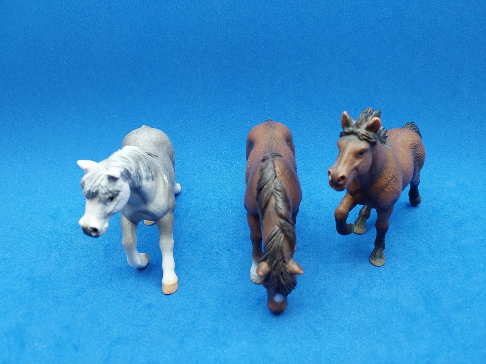 Schleich Pferde Raritäten Fjordpferd Shire Schwarzwälder Reitpony in Aalen