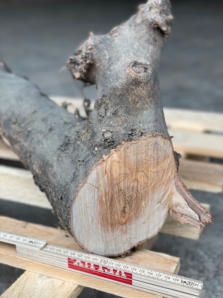 Olivenholz Stämme Holzkunst in Ottobeuren