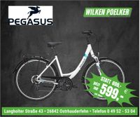 Pegasus Solero SL Trekkingrad weiß Damen 24 Gang mit Freilauf Niedersachsen - Ostrhauderfehn Vorschau