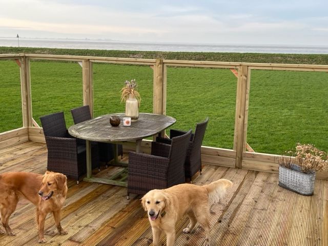 28.6-08.07/21.7-27.7/Sommerferien direkter Meerblick Nordsee Hund Holland Niederlande 1 Woche Sommerferien in Warburg