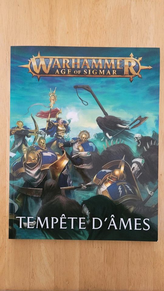 Warhammer Bücher: tempest of souls and rules (FRANZÖSISCH) in Gievenbeck