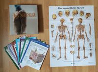 Ordner mit 100 Sammelkarten "Der menschliche Körper" - fast neu Sachsen - Großharthau-Seeligstadt Vorschau