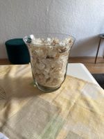 Vase mit getrocknete Orchidee Blüten Bayern - Mindelheim Vorschau