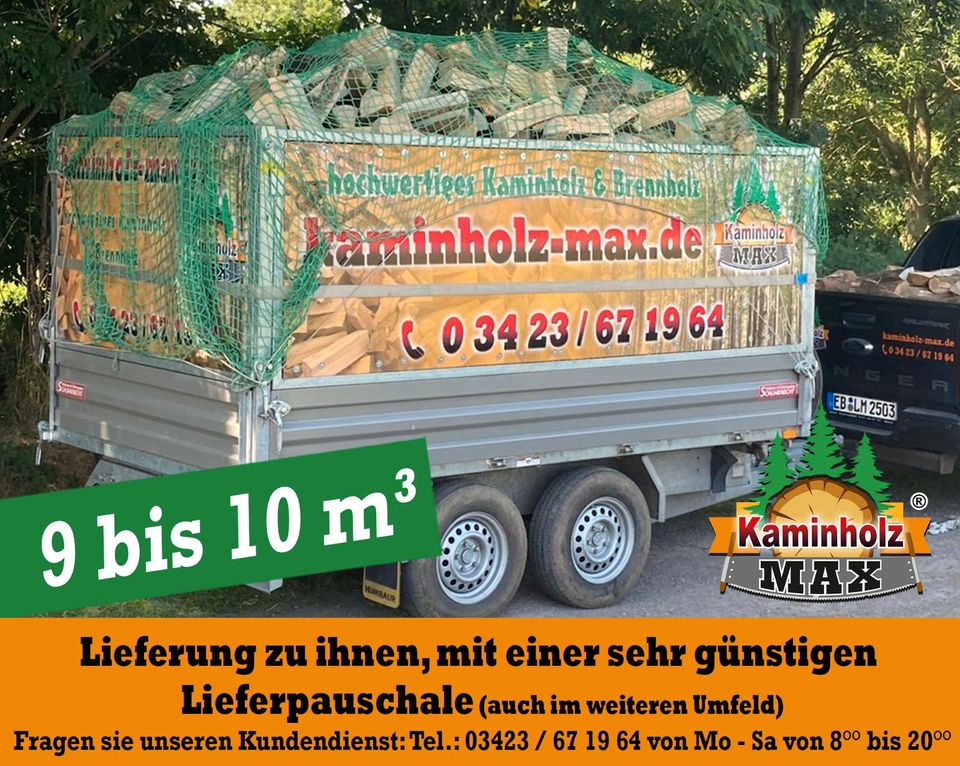 ab 4 m³ bis 35 m³ - 30 km um KEMBERG, Gräfenhainichen, Bad Schmiedeberg Kaminholz, Brennholz, Feuerholz, Holzvergaser, Kamin, Holz, Feuer, Brenn in Kemberg